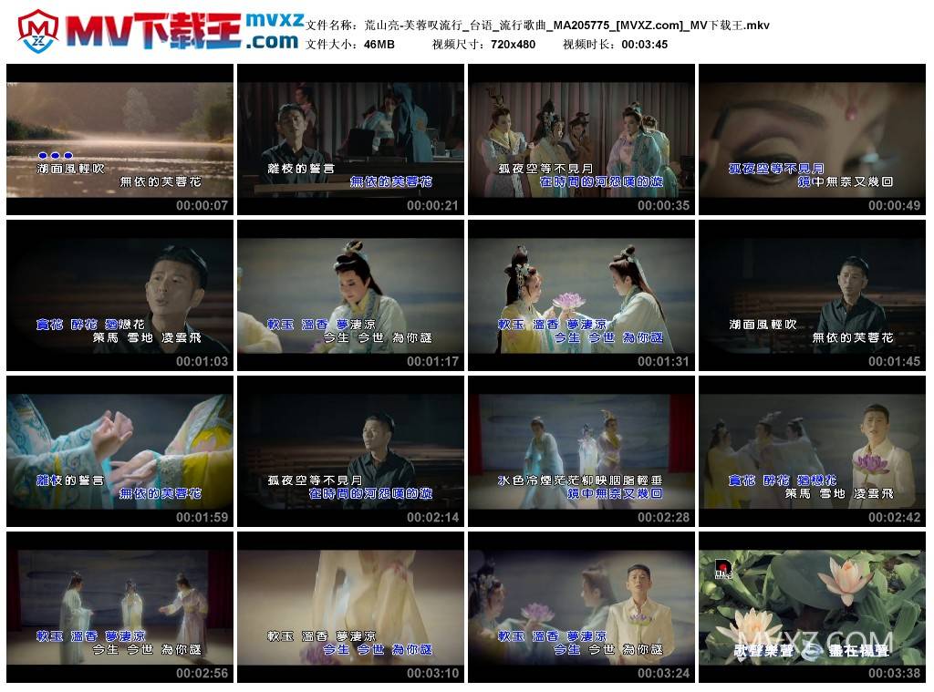 荒山亮-芙蓉叹流行_台语_流行歌曲_MA205775